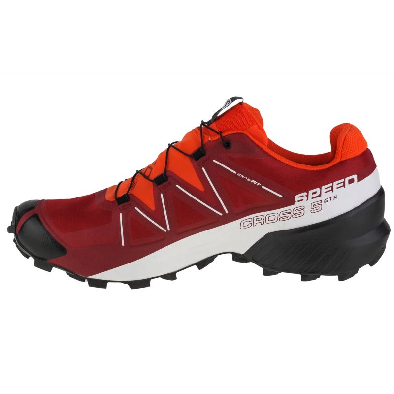 Salomon-2
