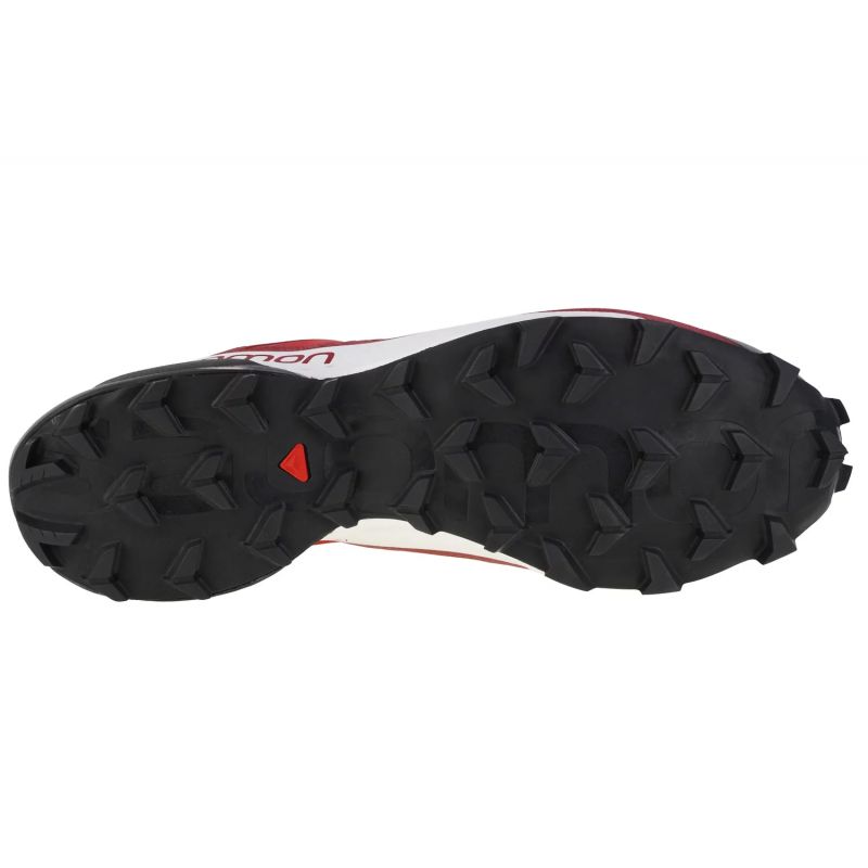 Salomon-4
