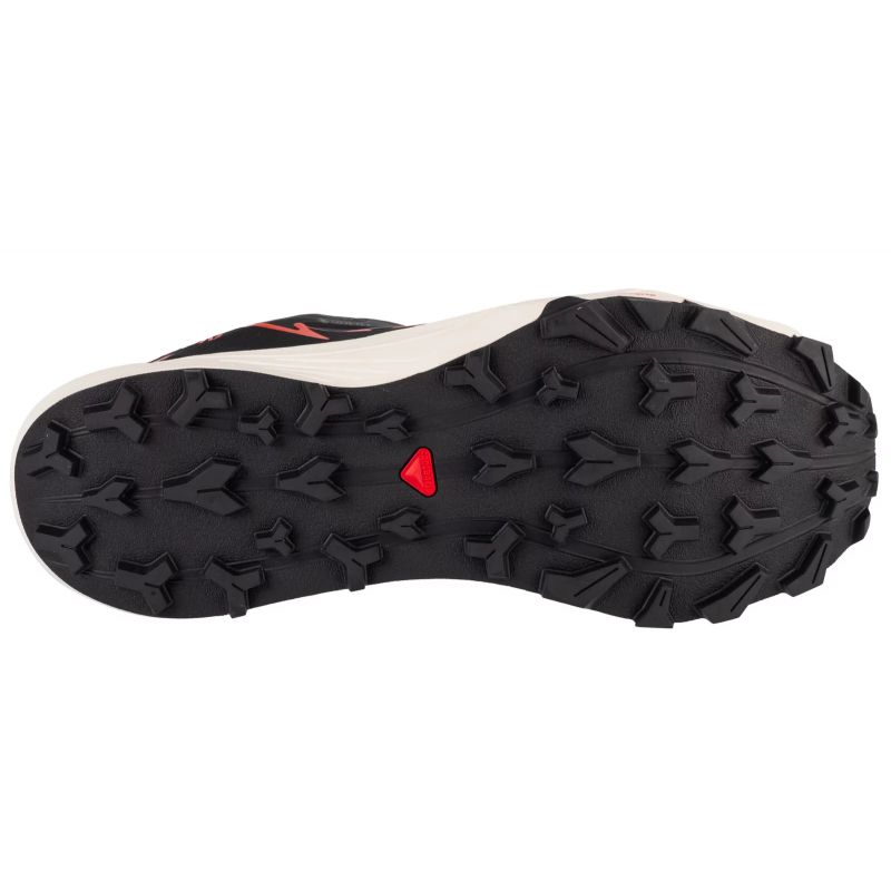 Salomon-4