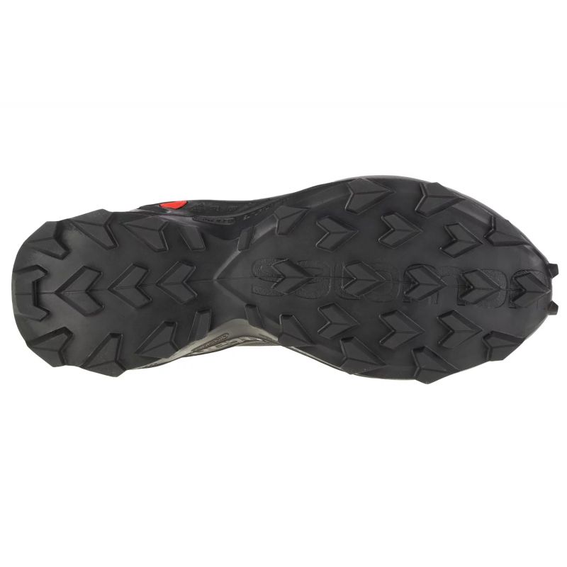 Salomon-4