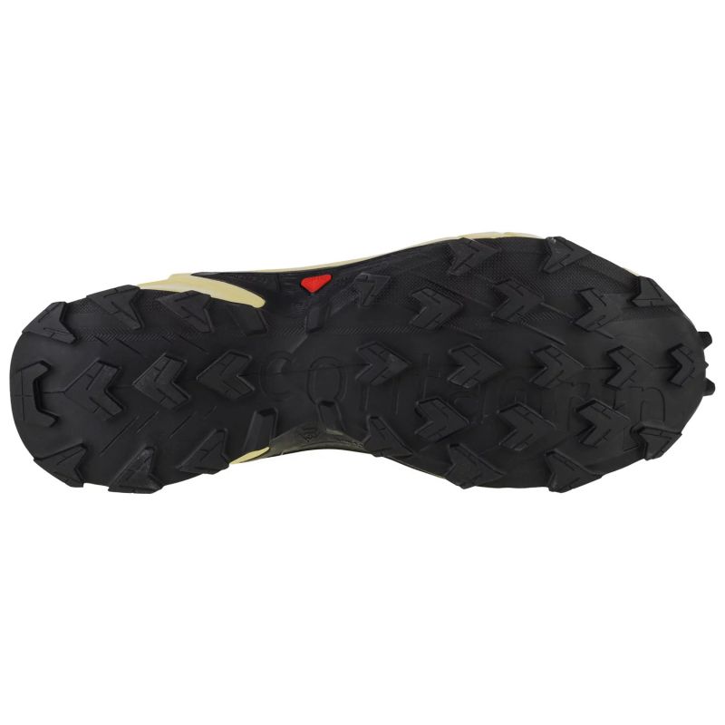 Salomon-4