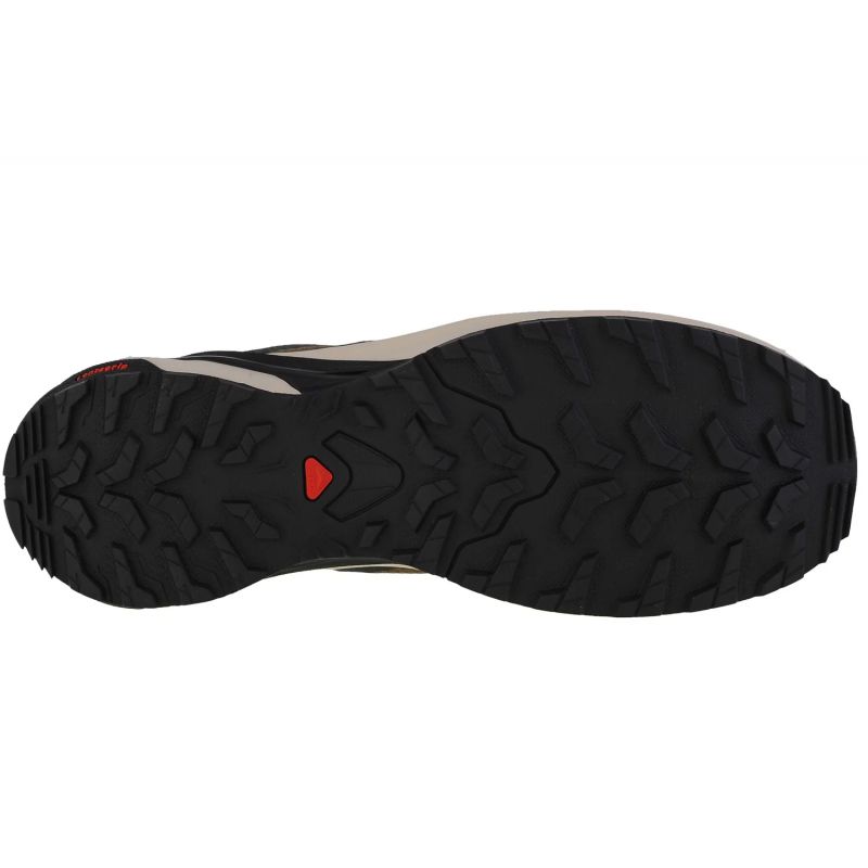 Salomon-4