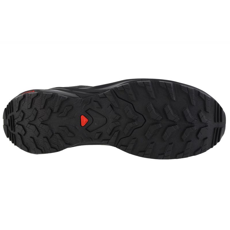 Salomon-4