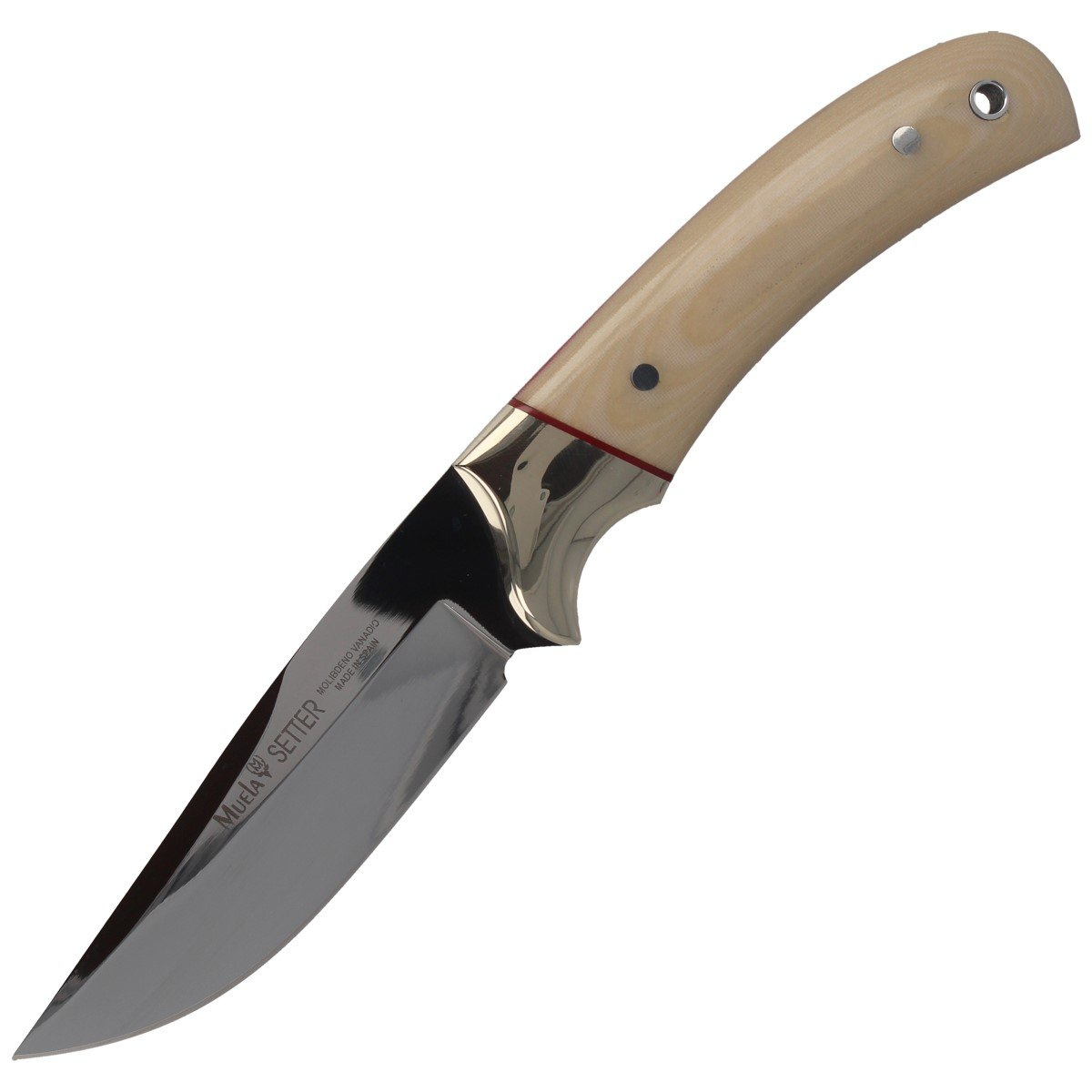 Nóż Muela Setter-11B Ivory Micarta, Mirror X50CrMoV15 1 Nóż Muela Setter-11B Ivory Micarta, Mirror X50CrMoV15-1