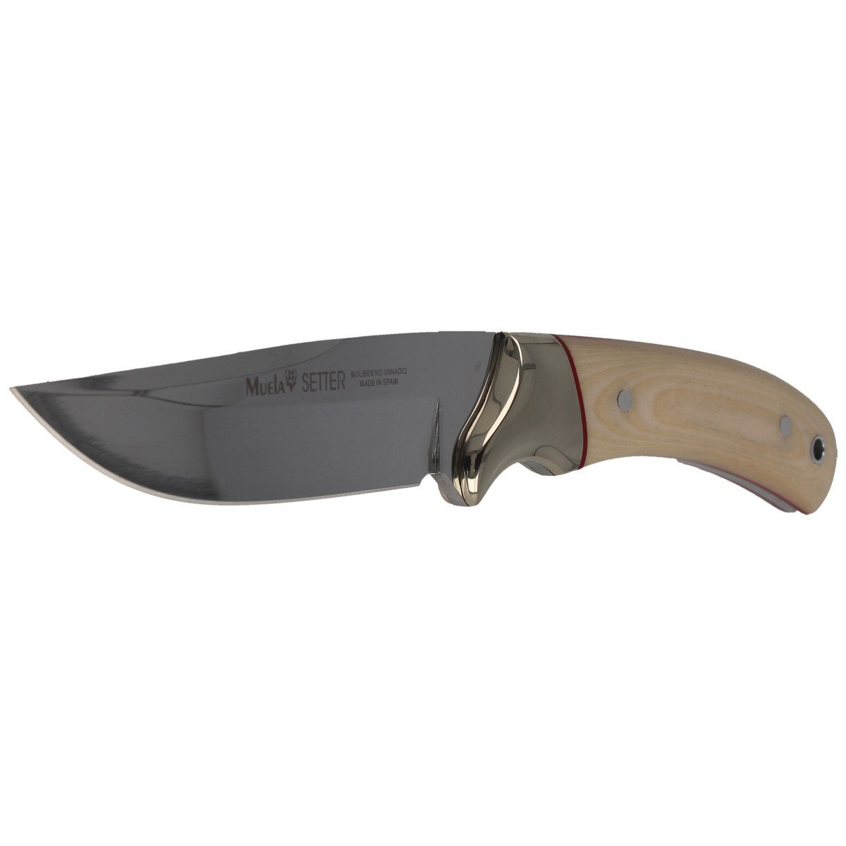 Nóż Muela Setter-11B Ivory Micarta, Mirror X50CrMoV15 2 Nóż Muela Setter-11B Ivory Micarta, Mirror X50CrMoV15-2