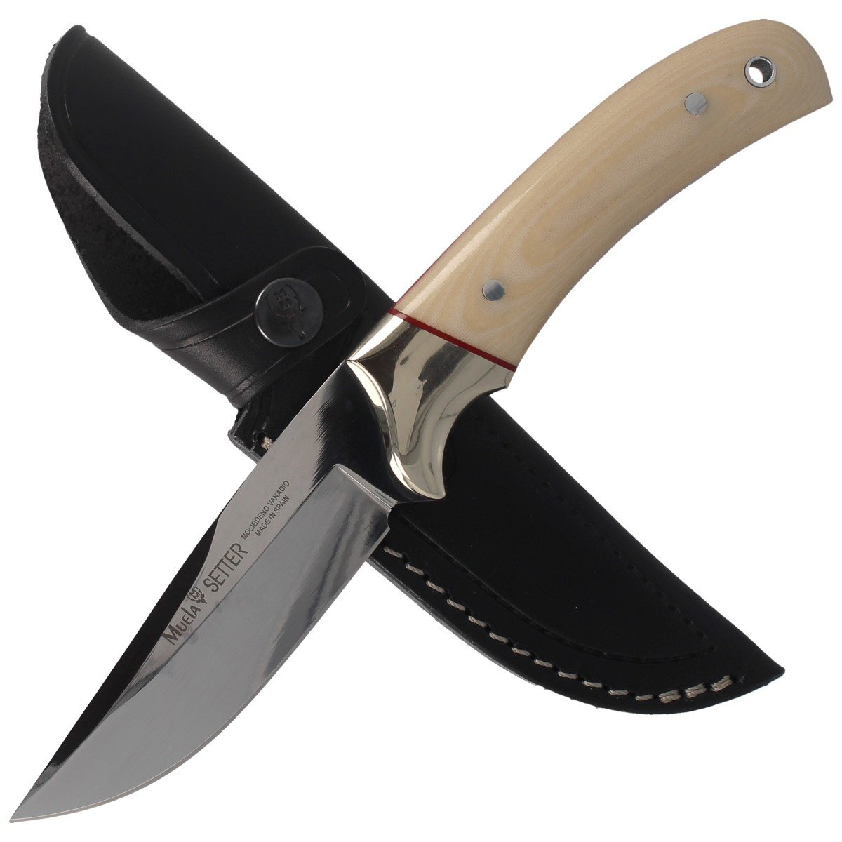 Nóż Muela Setter-11B Ivory Micarta, Mirror X50CrMoV15 4 Nóż Muela Setter-11B Ivory Micarta, Mirror X50CrMoV15-4