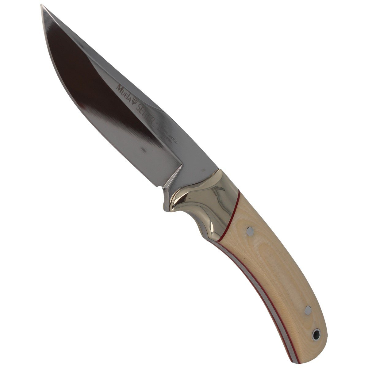 Nóż Muela Setter-11B Ivory Micarta, Mirror X50CrMoV15 5 Nóż Muela Setter-11B Ivory Micarta, Mirror X50CrMoV15-5