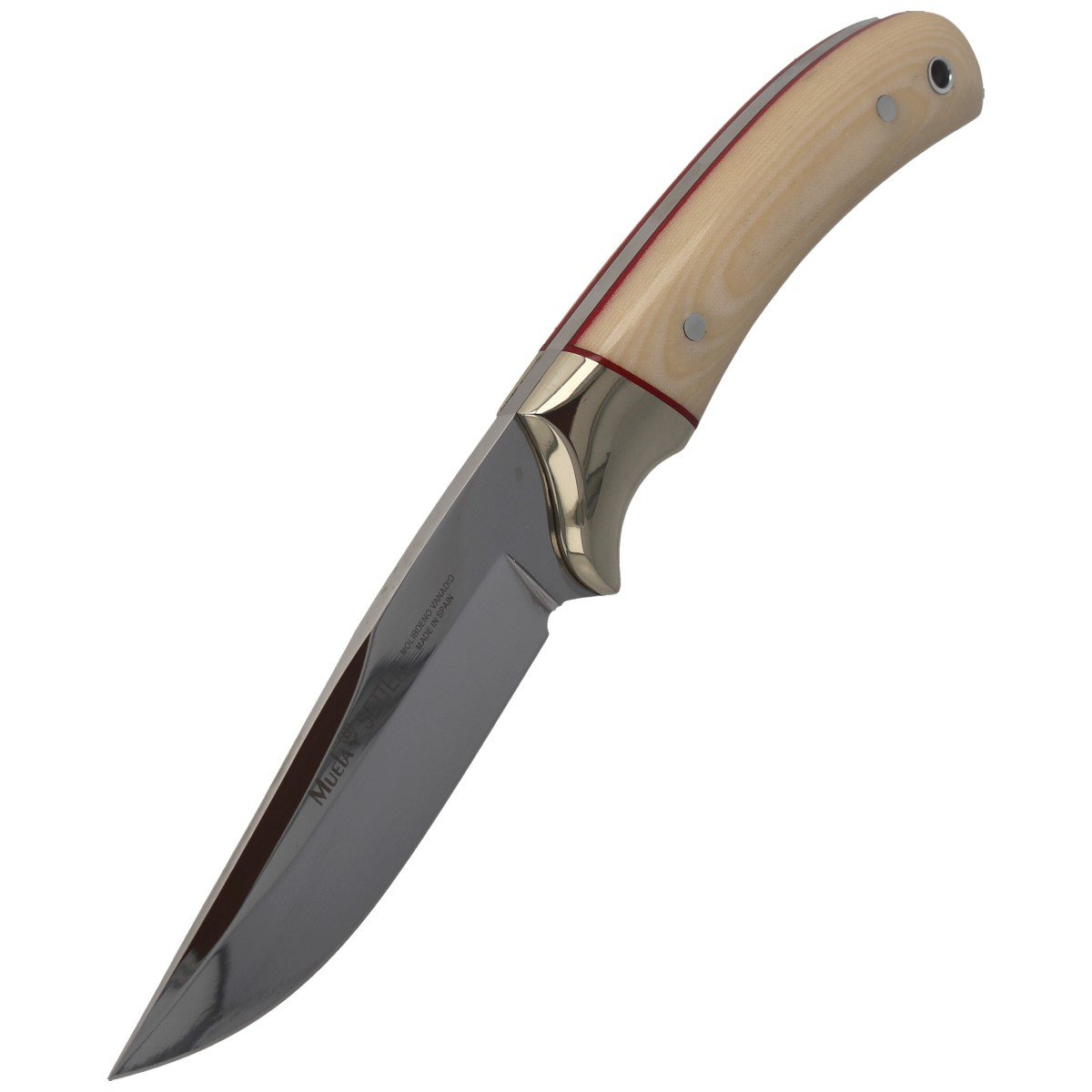 Nóż Muela Setter-11B Ivory Micarta, Mirror X50CrMoV15 6 Nóż Muela Setter-11B Ivory Micarta, Mirror X50CrMoV15-6