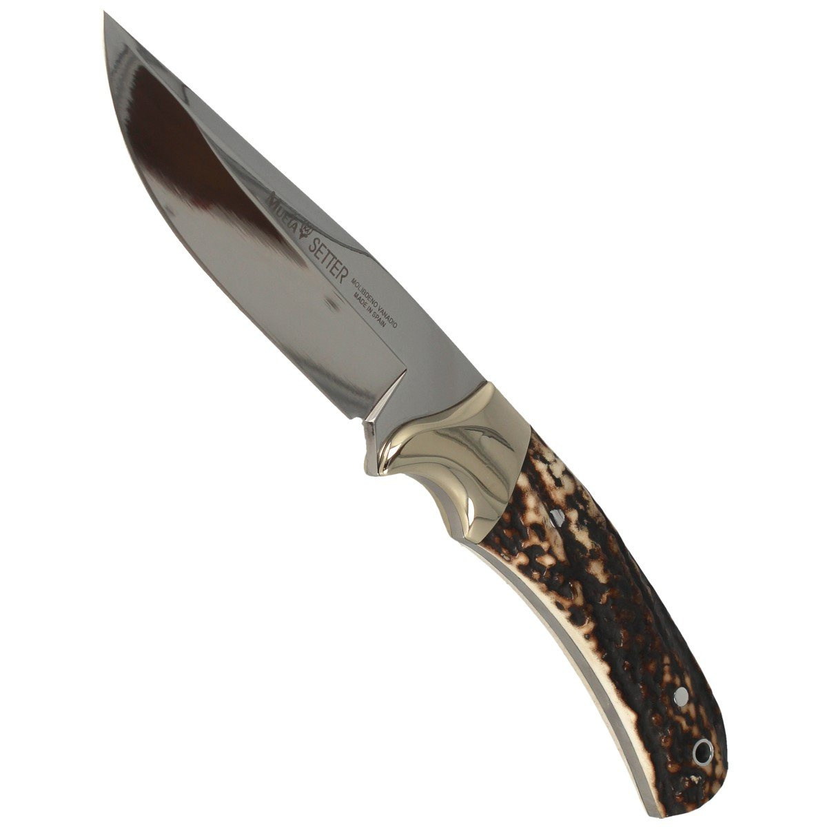 Nóż Muela Full Tang Dear Stag, Mirror 1.4116 (SETTER-11A) 5 Nóż Muela Full Tang Dear Stag, Mirror 1.4116 (SETTER-11A)-5