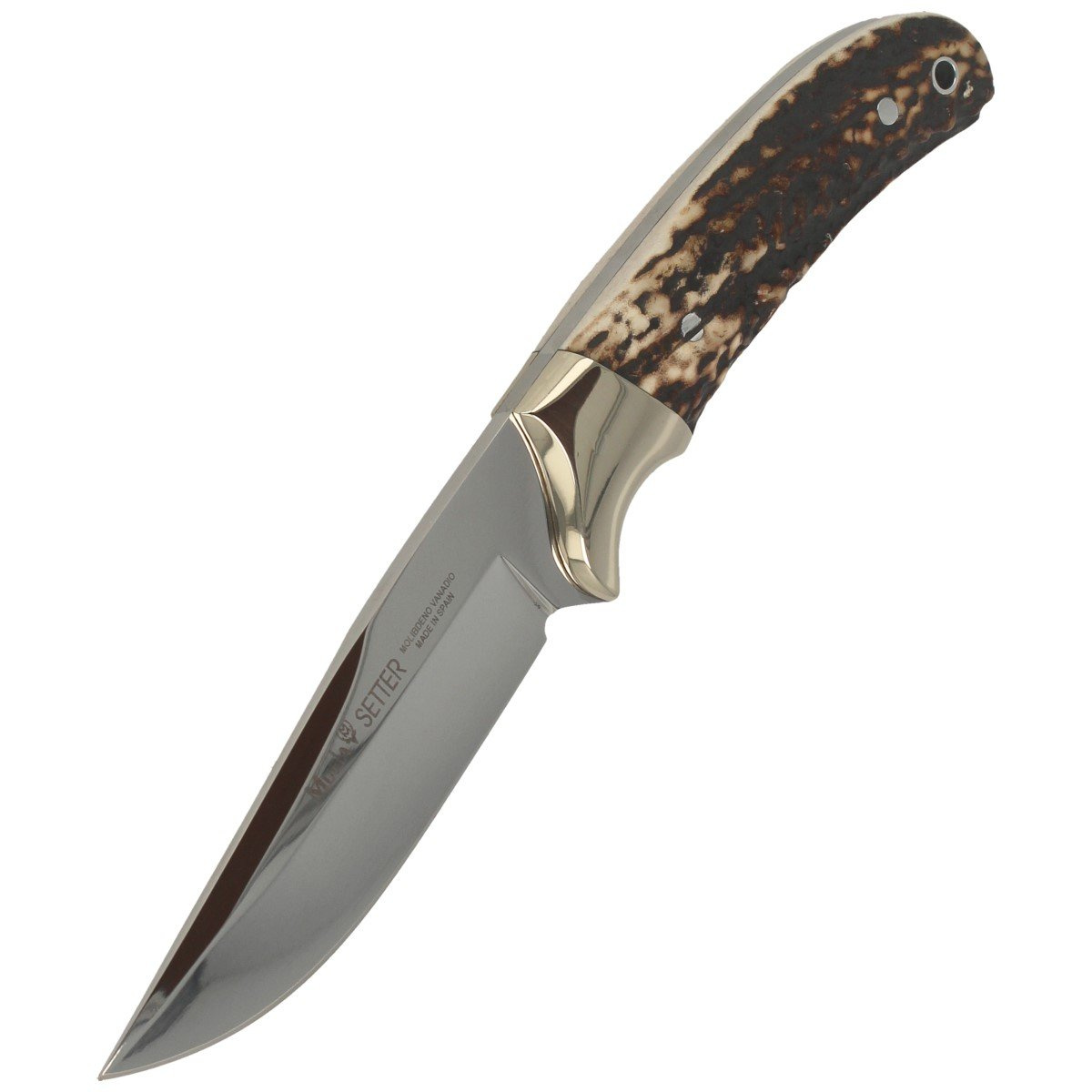 Nóż Muela Full Tang Dear Stag, Mirror 1.4116 (SETTER-11A) 6 Nóż Muela Full Tang Dear Stag, Mirror 1.4116 (SETTER-11A)-6