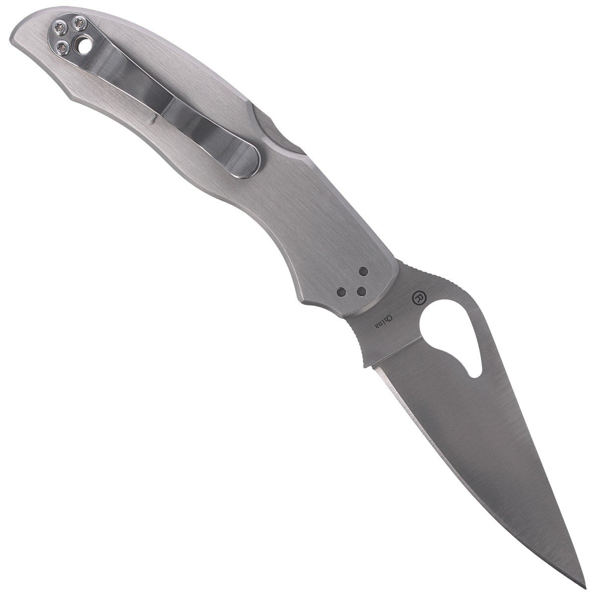 Nóż składany Spyderco Byrd Harrier 2 Stainless, Plain (BY01P2) 4 Nóż składany Spyderco Byrd Harrier 2 Stainless, Plain (BY01P2)-4