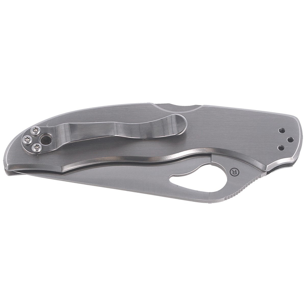 Nóż składany Spyderco Byrd Harrier 2 Stainless, Plain (BY01P2) 8 Nóż składany Spyderco Byrd Harrier 2 Stainless, Plain (BY01P2)-8