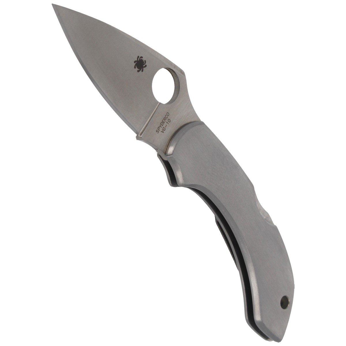 Nóż Spyderco Dragonfly Stainless Steel Plain (C28P) 4 Nóż Spyderco Dragonfly Stainless Steel Plain (C28P)-4