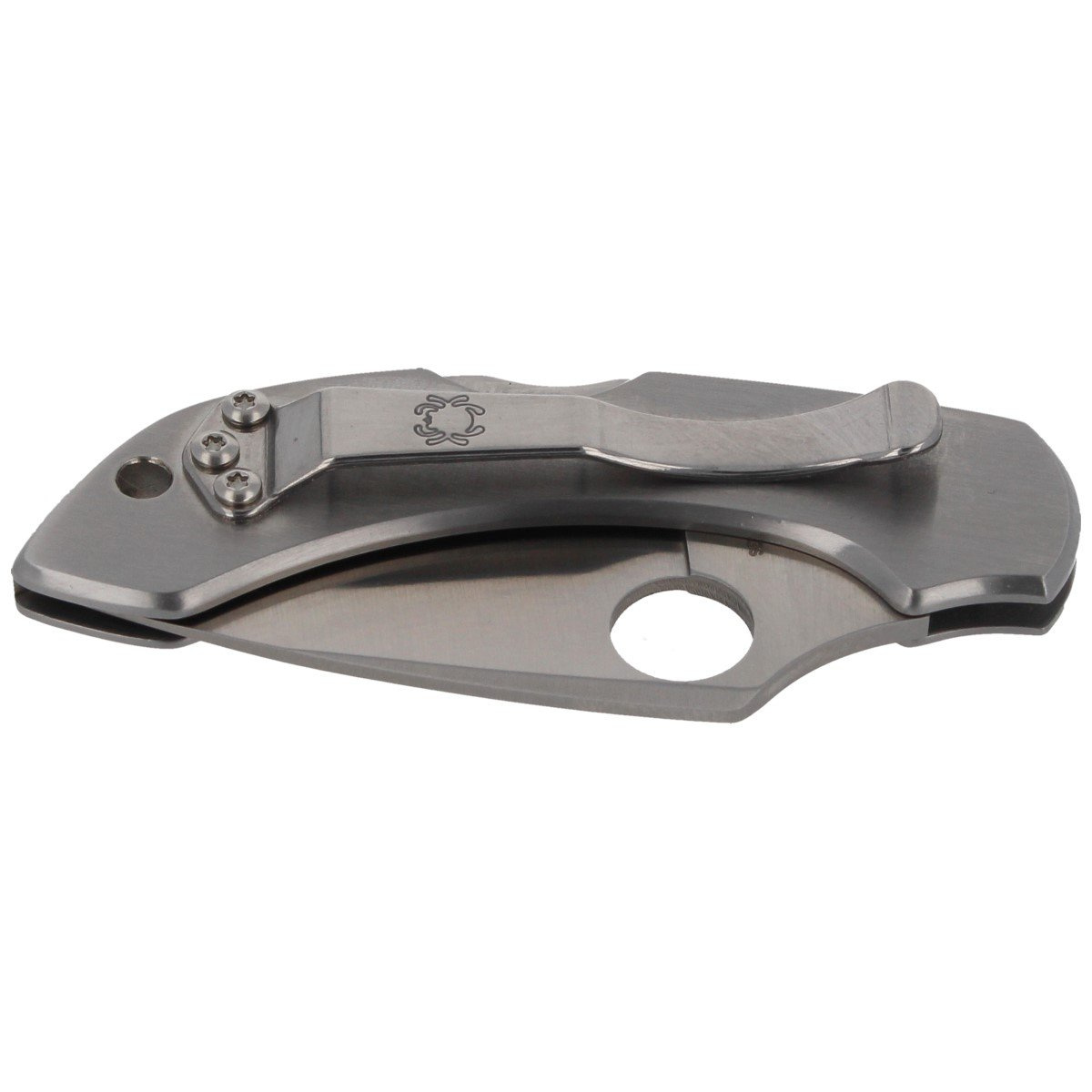 Nóż Spyderco Dragonfly Stainless Steel Plain (C28P) 6 Nóż Spyderco Dragonfly Stainless Steel Plain (C28P)-6