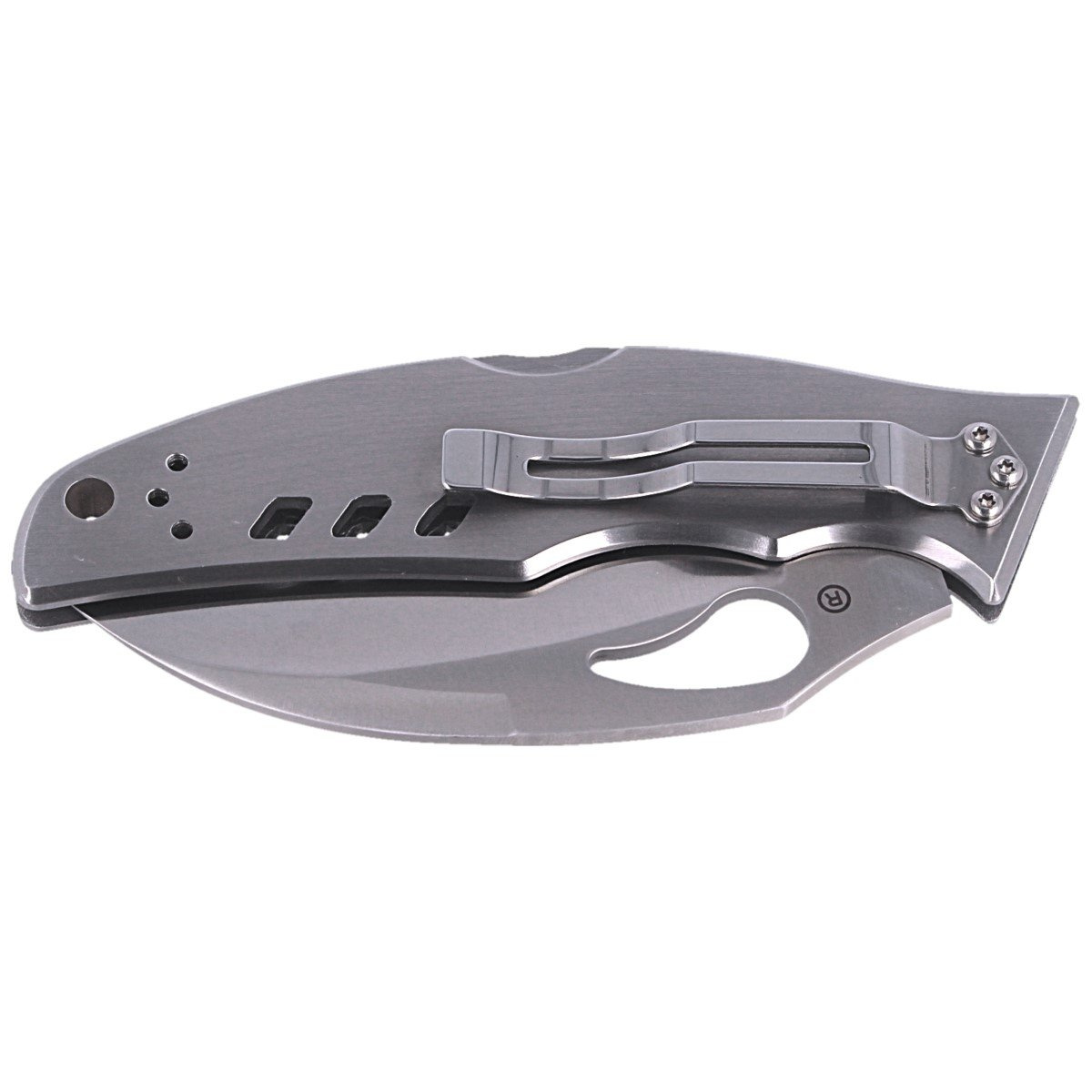 Nóż składany Spyderco Byrd Crossbill Stainless, Combo 8Cr13MoV (BY07PS) 7 Nóż składany Spyderco Byrd Crossbill Stainless, Combo 8Cr13MoV (BY07PS)-7