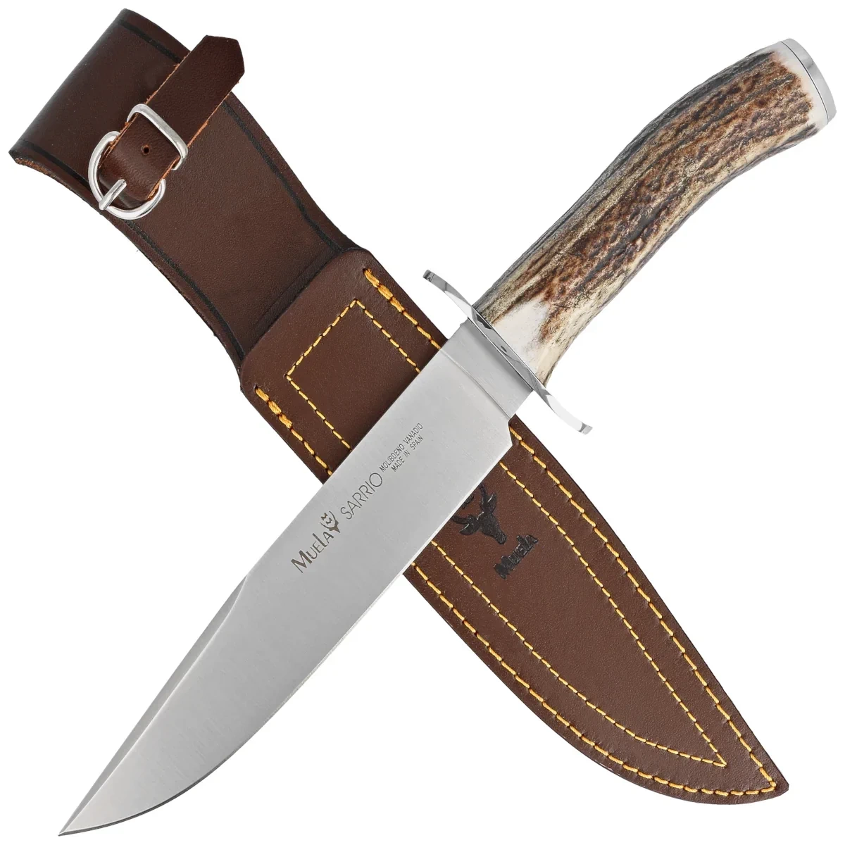 Nóż Muela Deer Stag, Satin X50CrMoV15 (SARRIO-19A) 4 webp