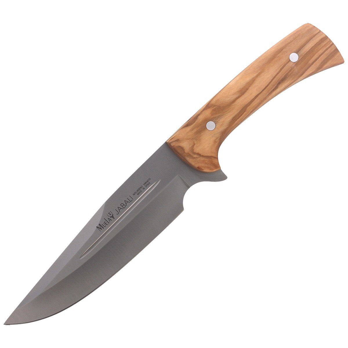 Nóż Muela Full Tang Olive Wood, Satin X50CrMoV15 (JABALI-17OL) 2 jpg