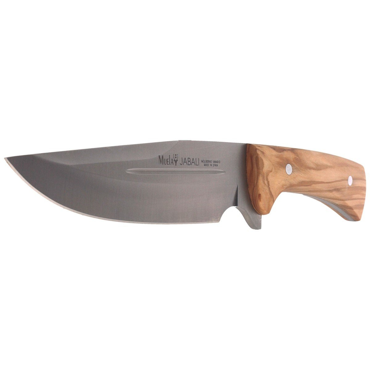 Nóż Muela Full Tang Olive Wood, Satin X50CrMoV15 (JABALI-17OL) 3 jpg