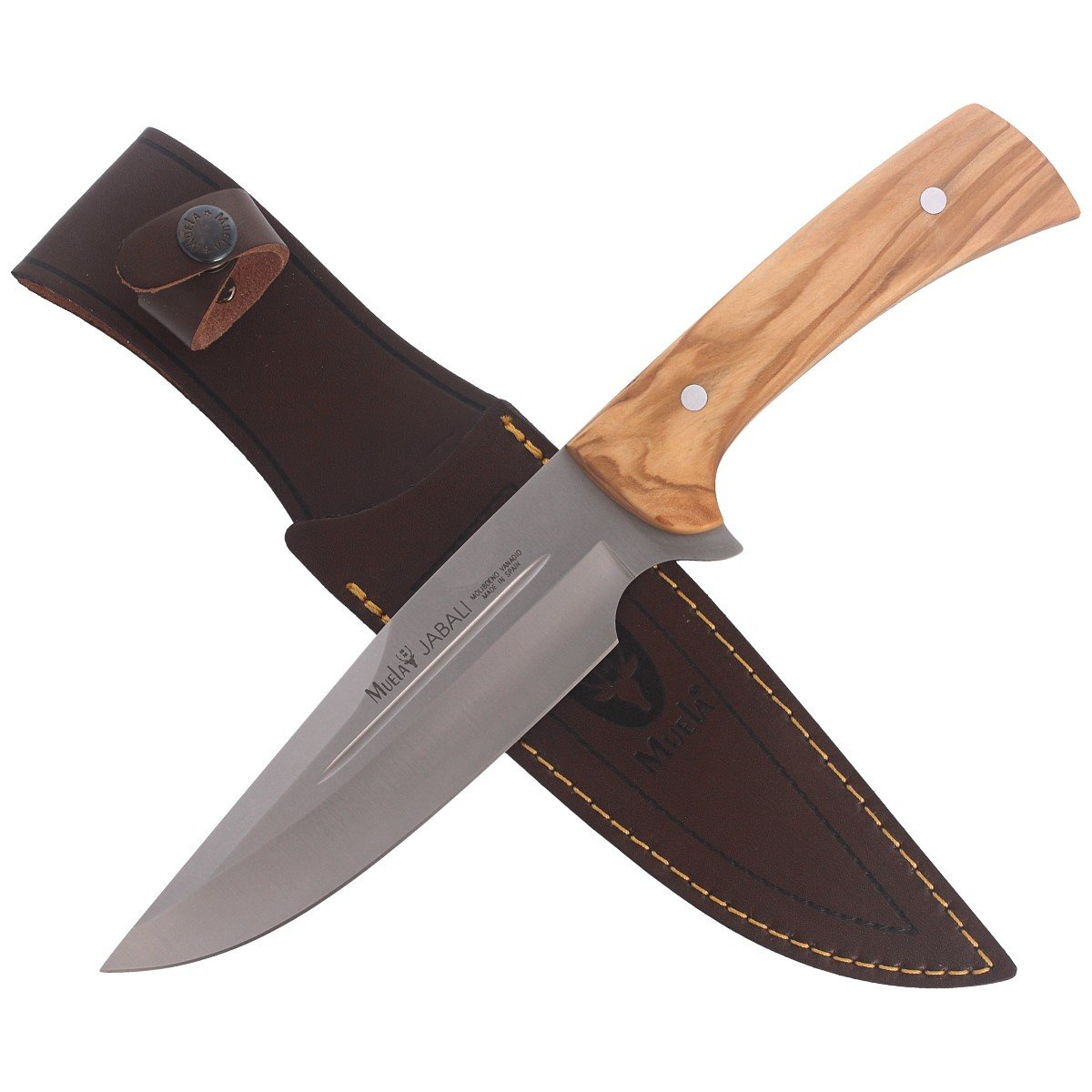 Nóż Muela Full Tang Olive Wood, Satin X50CrMoV15 (JABALI-17OL) 5 jpg