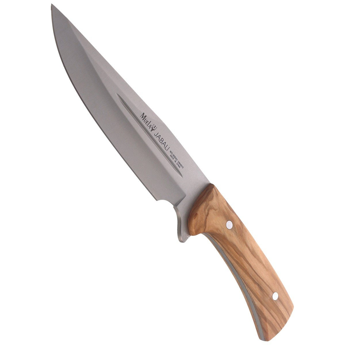 Nóż Muela Full Tang Olive Wood, Satin X50CrMoV15 (JABALI-17OL) 7 jpg