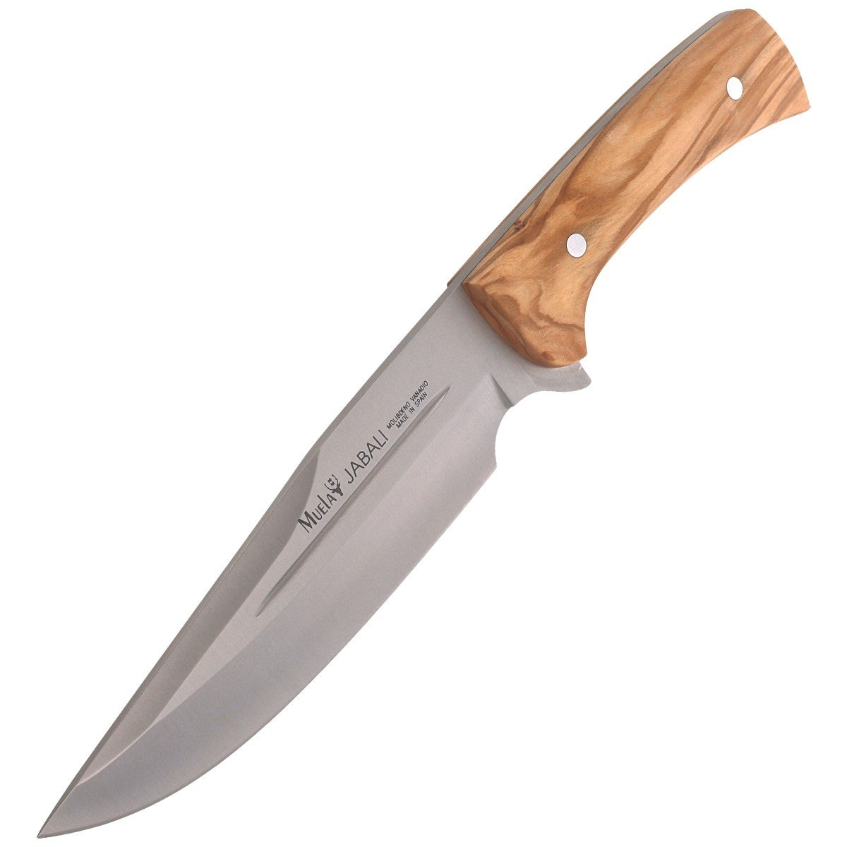 Nóż Muela Full Tang Olive Wood, Satin X50CrMoV15 (JABALI-17OL) 8 jpg