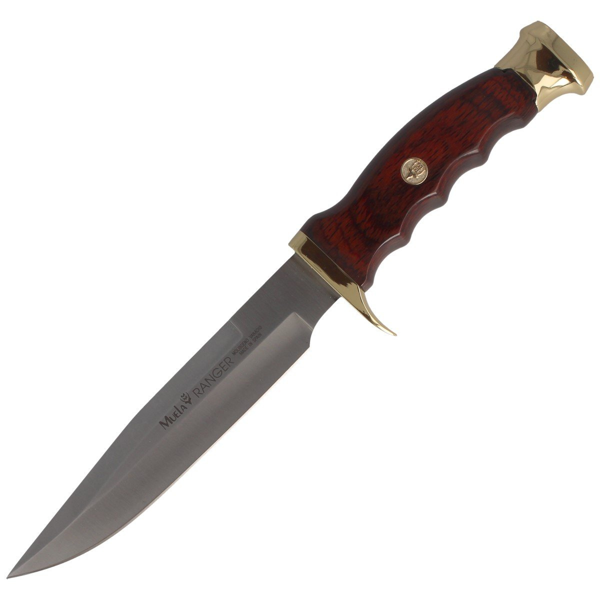 Nóż Muela Ranger-14R Brown Pakka Wood, Satin X50CrMoV15 1 jpg
