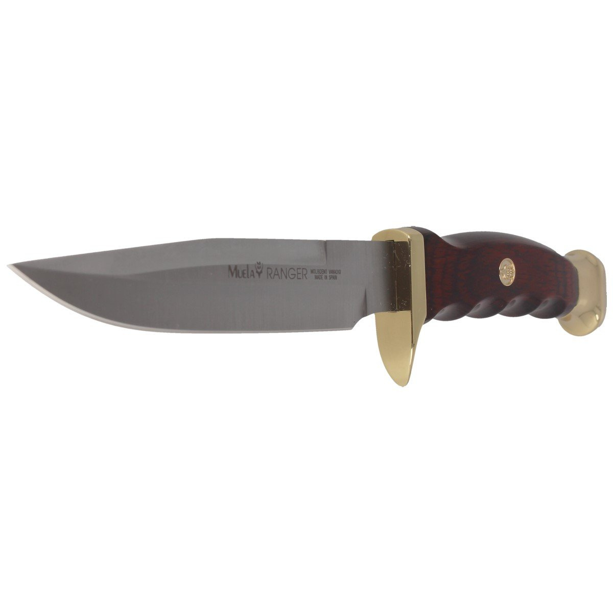 Nóż Muela Ranger-14R Brown Pakka Wood, Satin X50CrMoV15 2 jpg