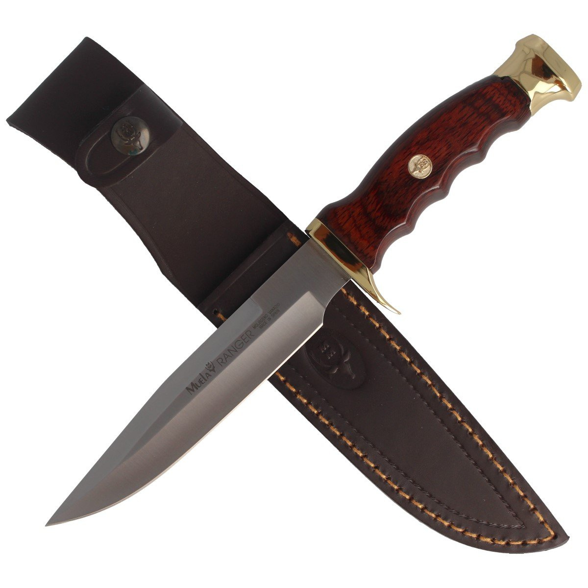 Nóż Muela Ranger-14R Brown Pakka Wood, Satin X50CrMoV15 4 jpg