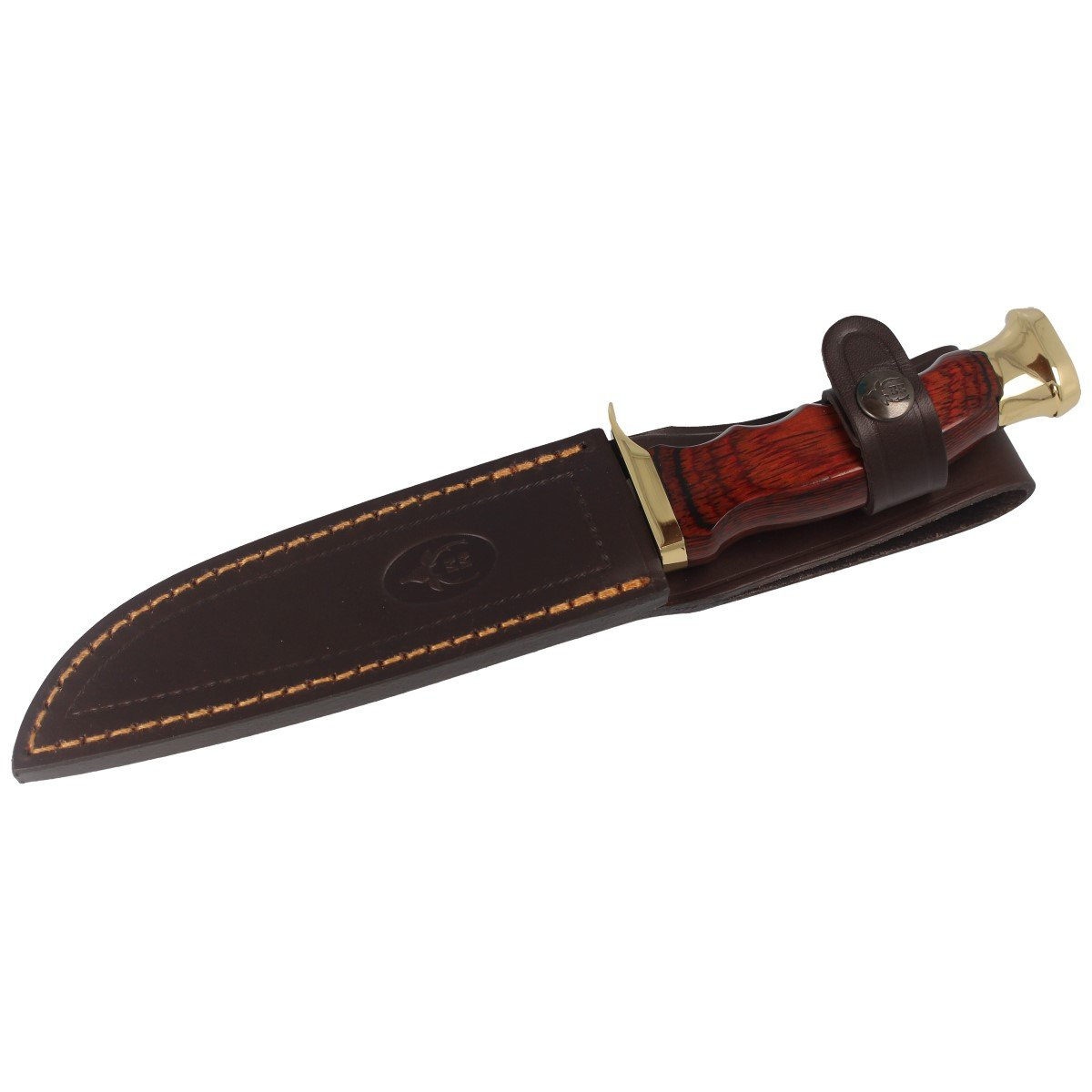 Nóż Muela Ranger-14R Brown Pakka Wood, Satin X50CrMoV15 7 jpg