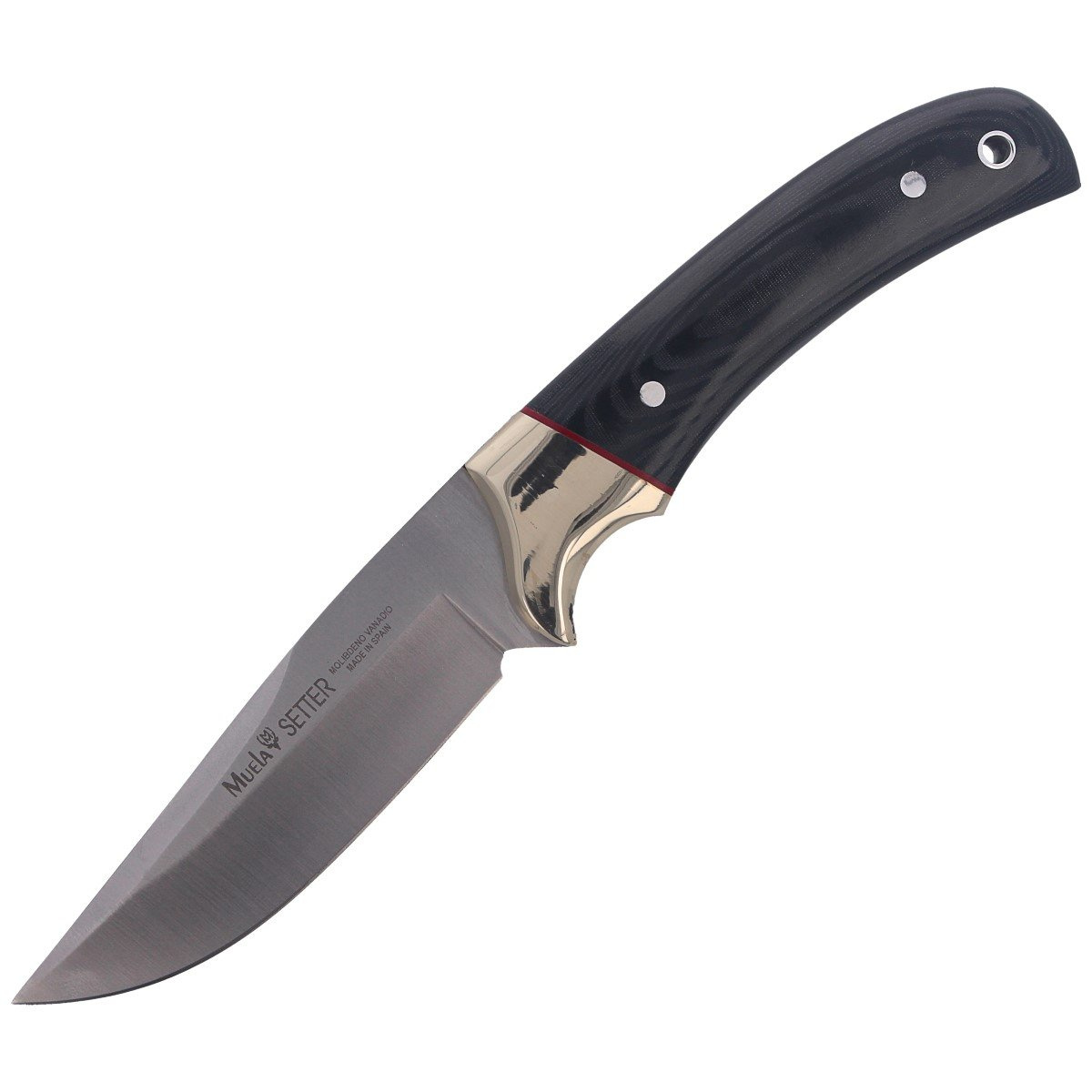 Nóż Muela Full Tang Black Micarta, Satin 1.4116 (SETTER-11M) 1 jpg