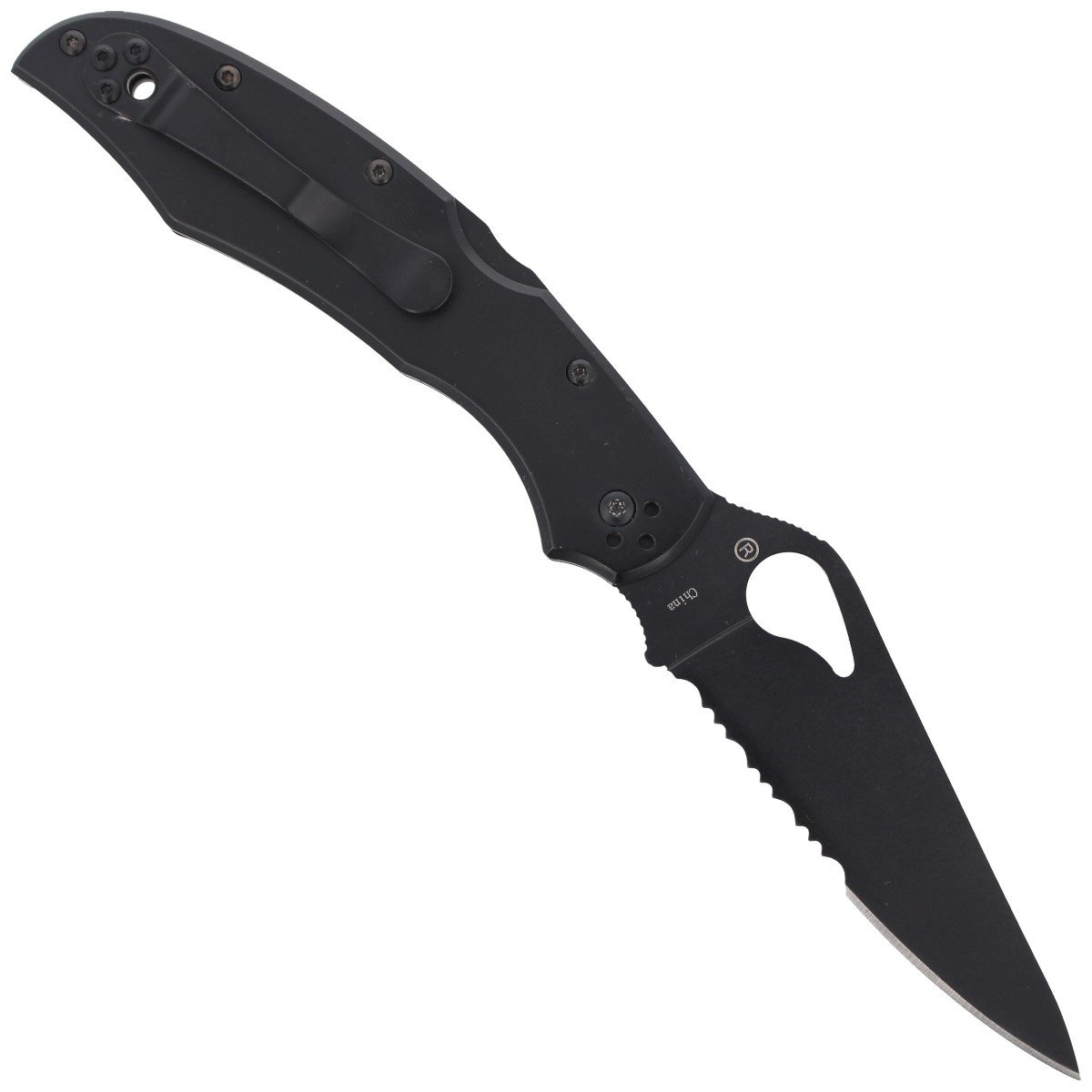 Nóż składany Spyderco Byrd Cara Cara 2 Stainless, Black Blade Combination (BY03BKPS2) 3 jpg