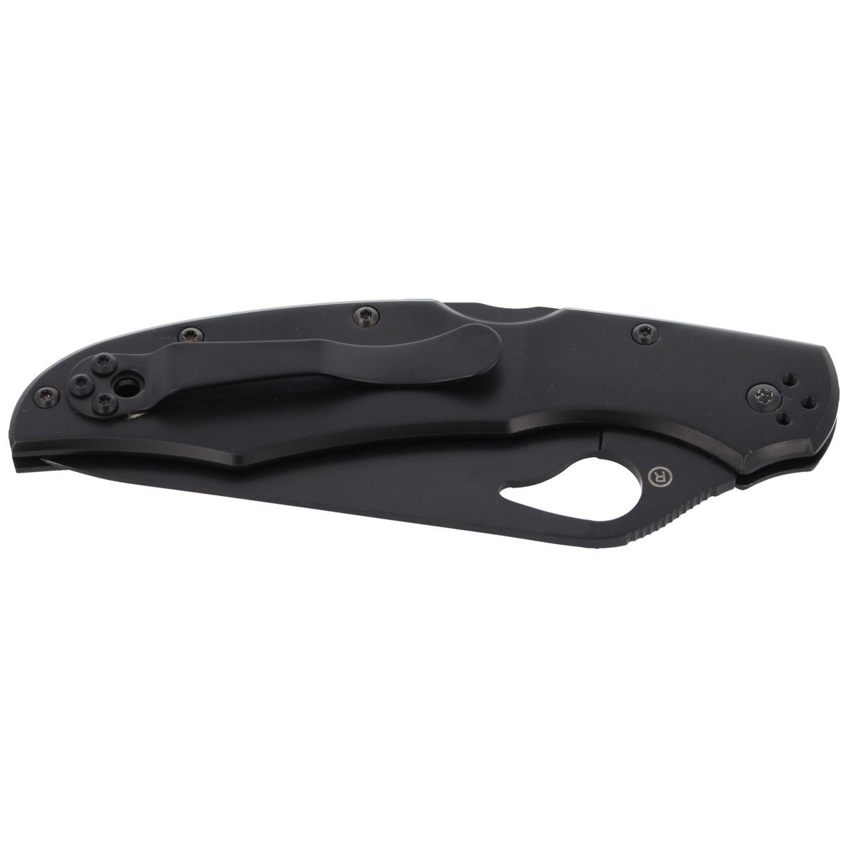 Nóż składany Spyderco Byrd Cara Cara 2 Stainless, Black Blade Combination (BY03BKPS2) 6 jpg