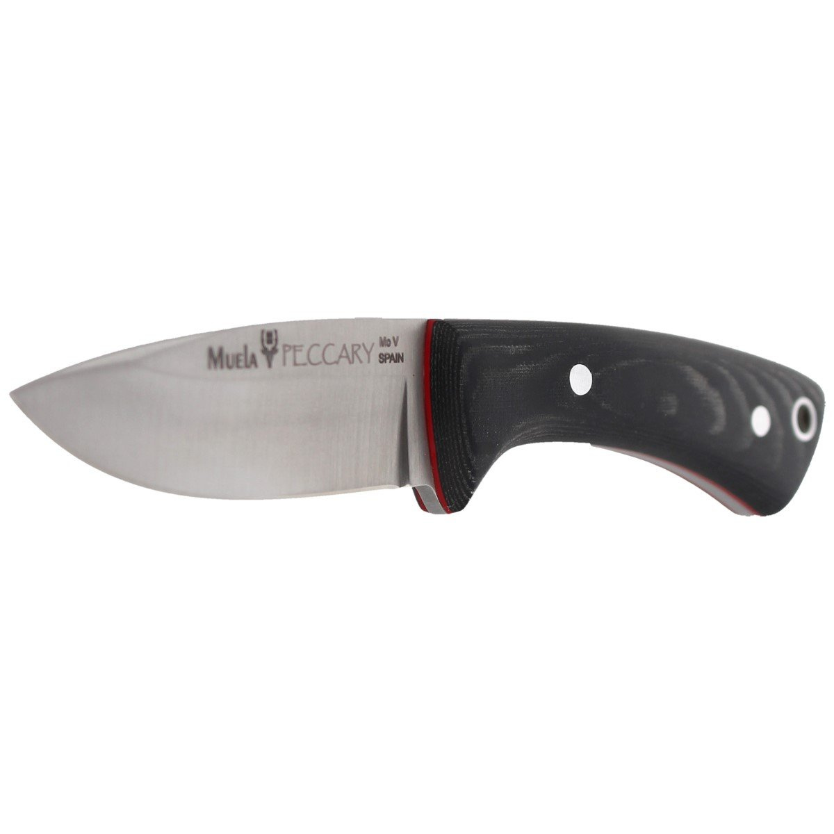 Nóż na szyję Muela Peccary-8M Neck Knife Black Micarta, Satin X50CrMoV15 3 jpg