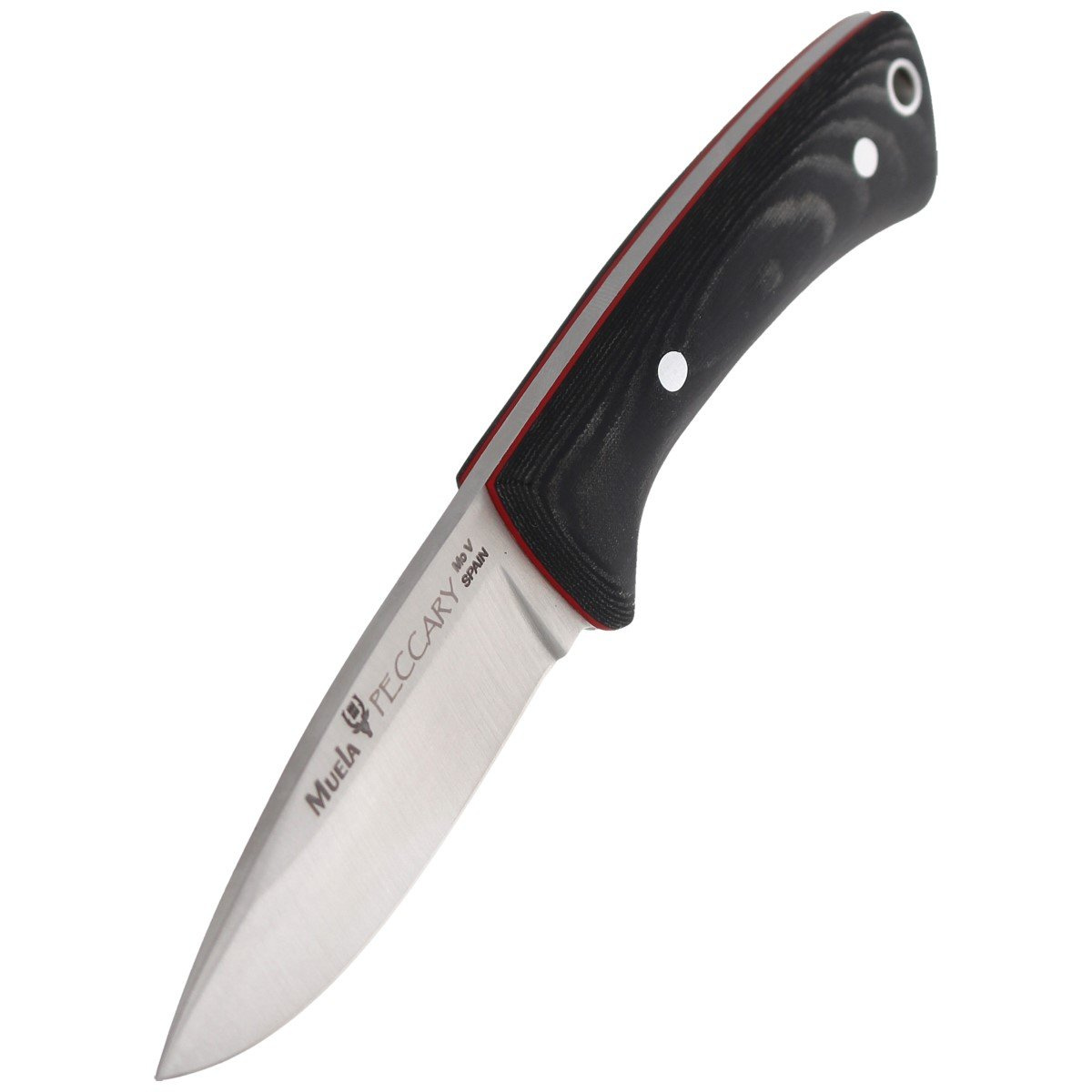 Nóż na szyję Muela Peccary-8M Neck Knife Black Micarta, Satin X50CrMoV15 5 jpg