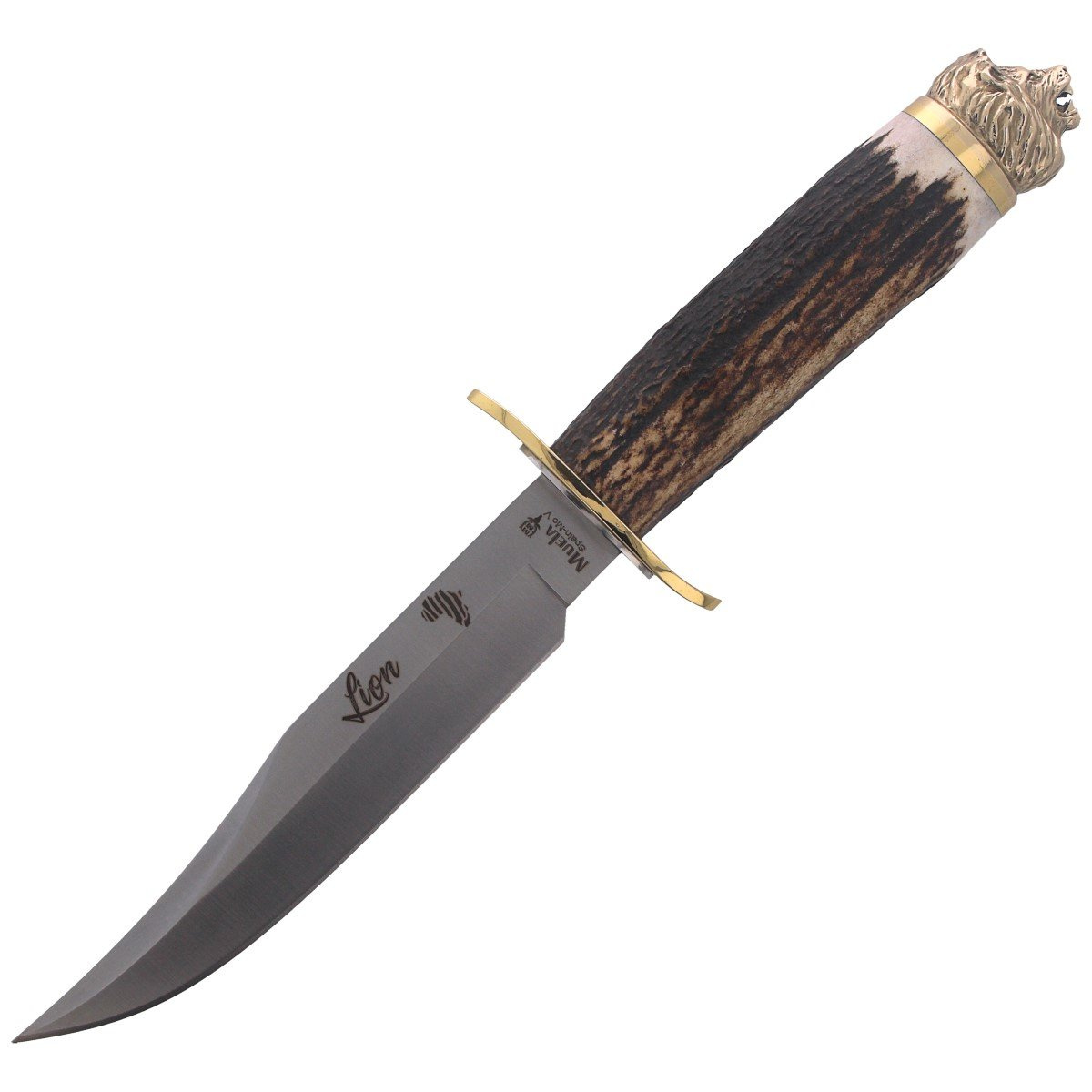 Nóż Muela Big Five Deer Stag, Satin 1.4116 Gift Box (LION-16BF) 2 jpg