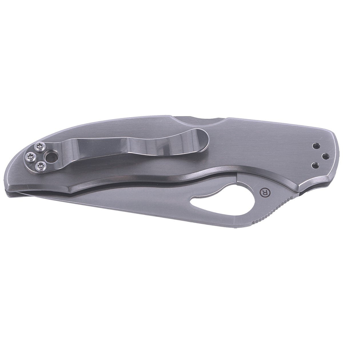 Nóż składany Spyderco Byrd Harrier 2 Stainless, Combination (BY01PS2) 6 jpg