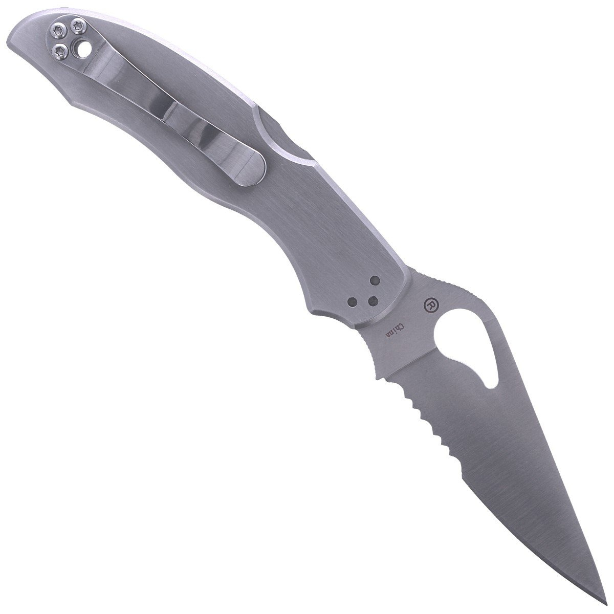 Nóż składany Spyderco Byrd Harrier 2 Stainless, Combination (BY01PS2) 3 jpg