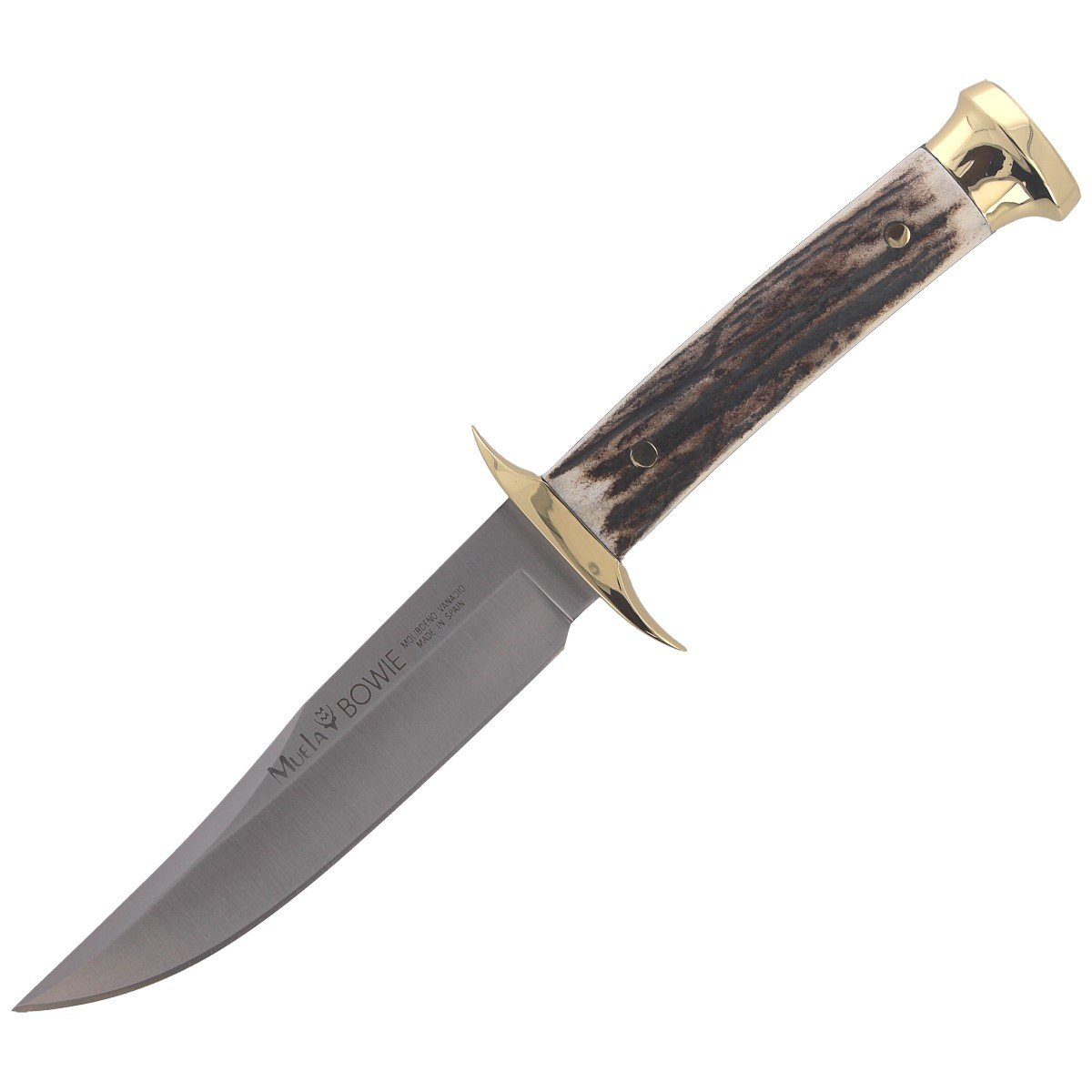 Nóż Muela Bowie Deer Stag 110mm (BWE-11A) 1 jpg