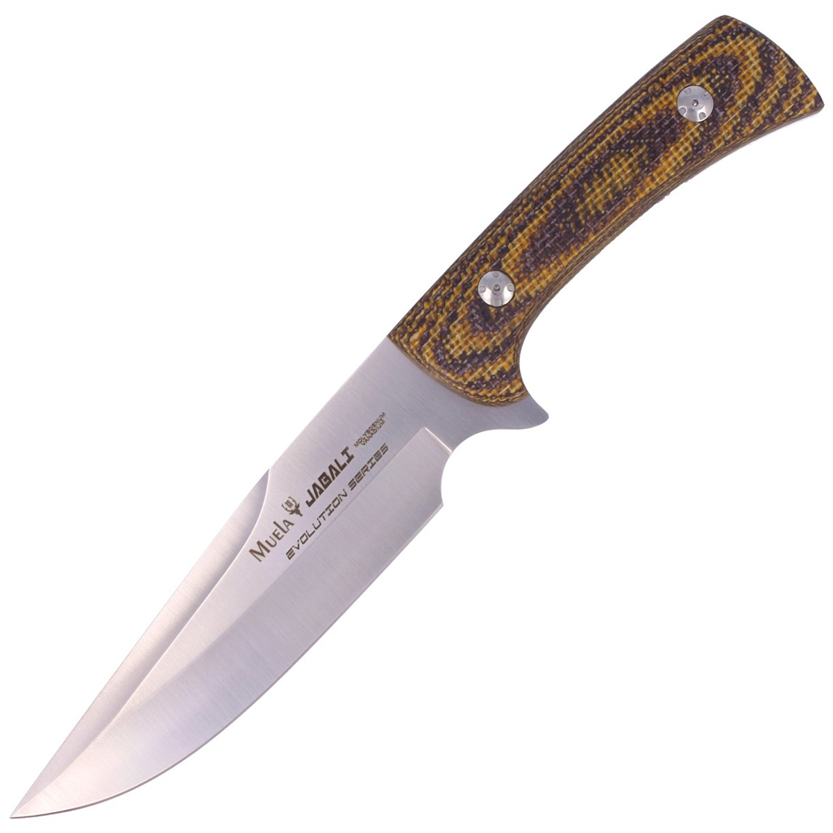 Nóż Muela Jabali Brown Micarta, Satin 170mm (JABALI-17G) 1 jpg