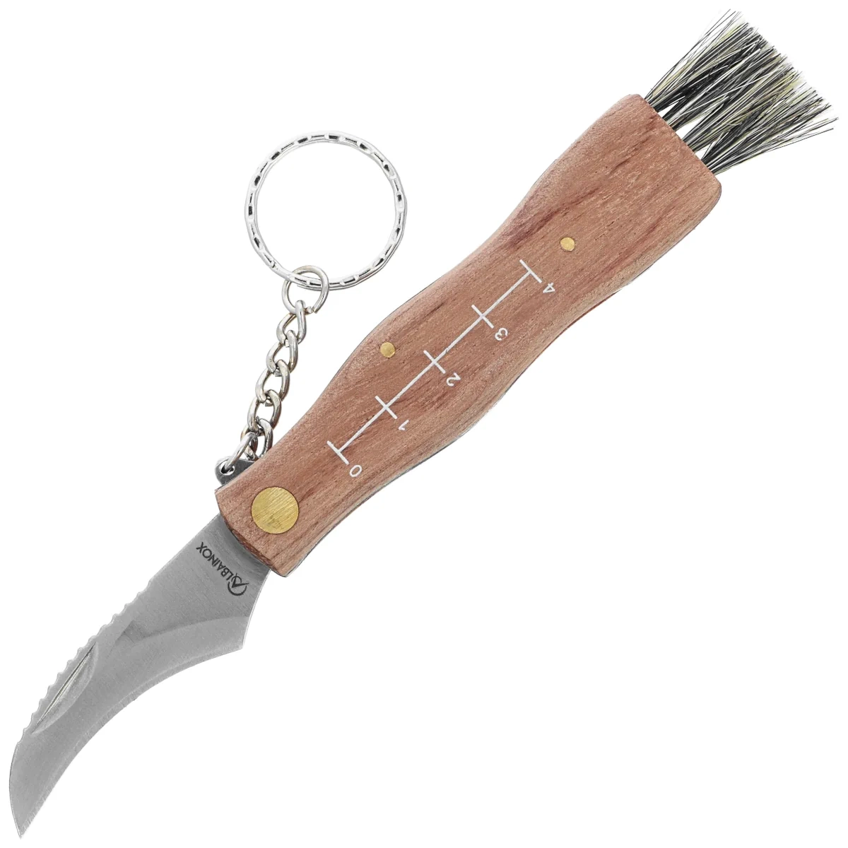 Nóż na grzyby Martinez Albainox Setera Wood, Satin 3Cr13Mov (10577) 1 webp