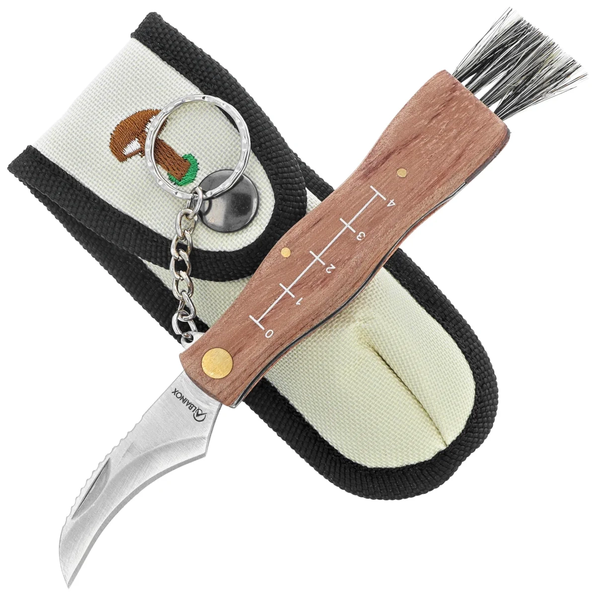 Nóż na grzyby Martinez Albainox Setera Wood, Satin 3Cr13Mov (10577) 2 webp