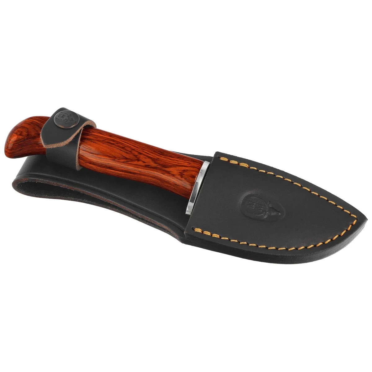 Nóż Muela Piranha-8R Coral Pakka Wood, Satin X50CrMoV15 3 webp